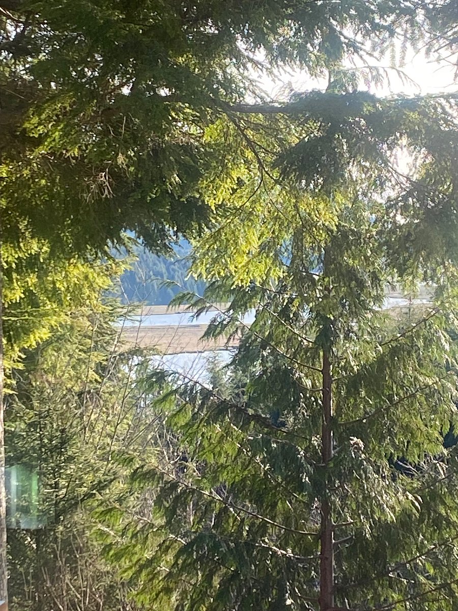 Views of Alsea River front deck