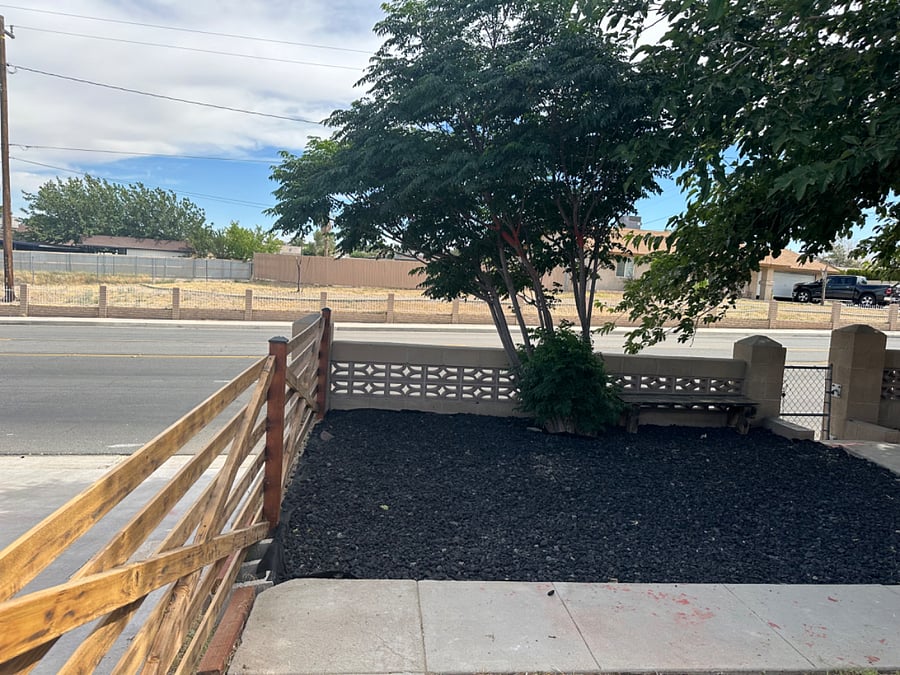 Front yard