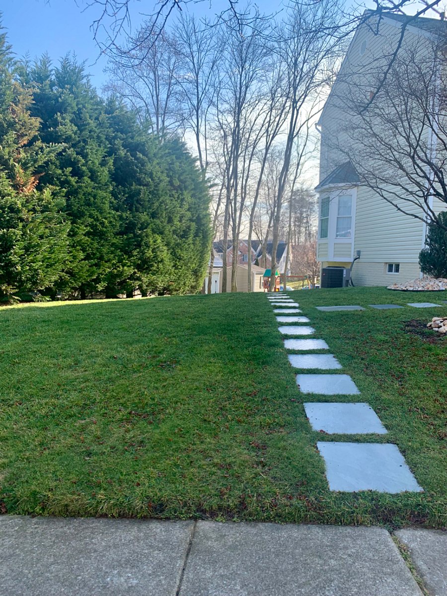 The pathway from your street parking spot to YOUR private door to your Basement Apartment.