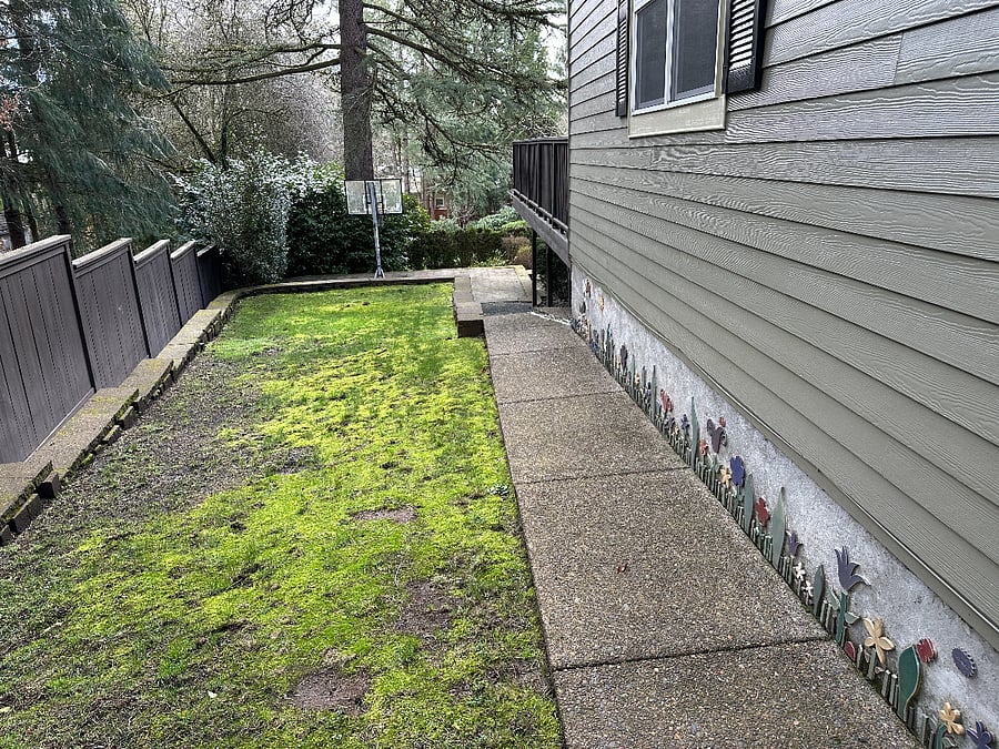 Shared backyard area