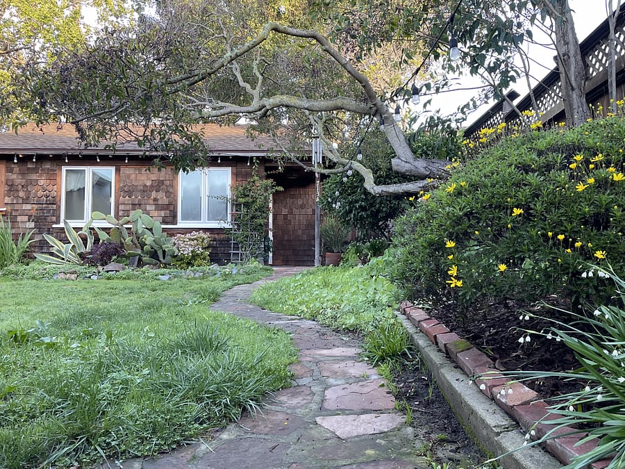 Path leading to the cottage through the main yard, main yard is a shared space with the main house including string lights surrounding the yard, plenty of outdoor furniture for hosting guests outside, and a BBQ grill.