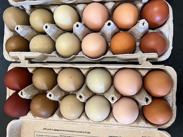 Rainbow eggs of dreams.
