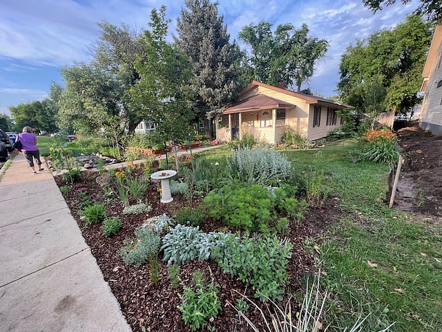 Front yard pollinator garden and front porch view.