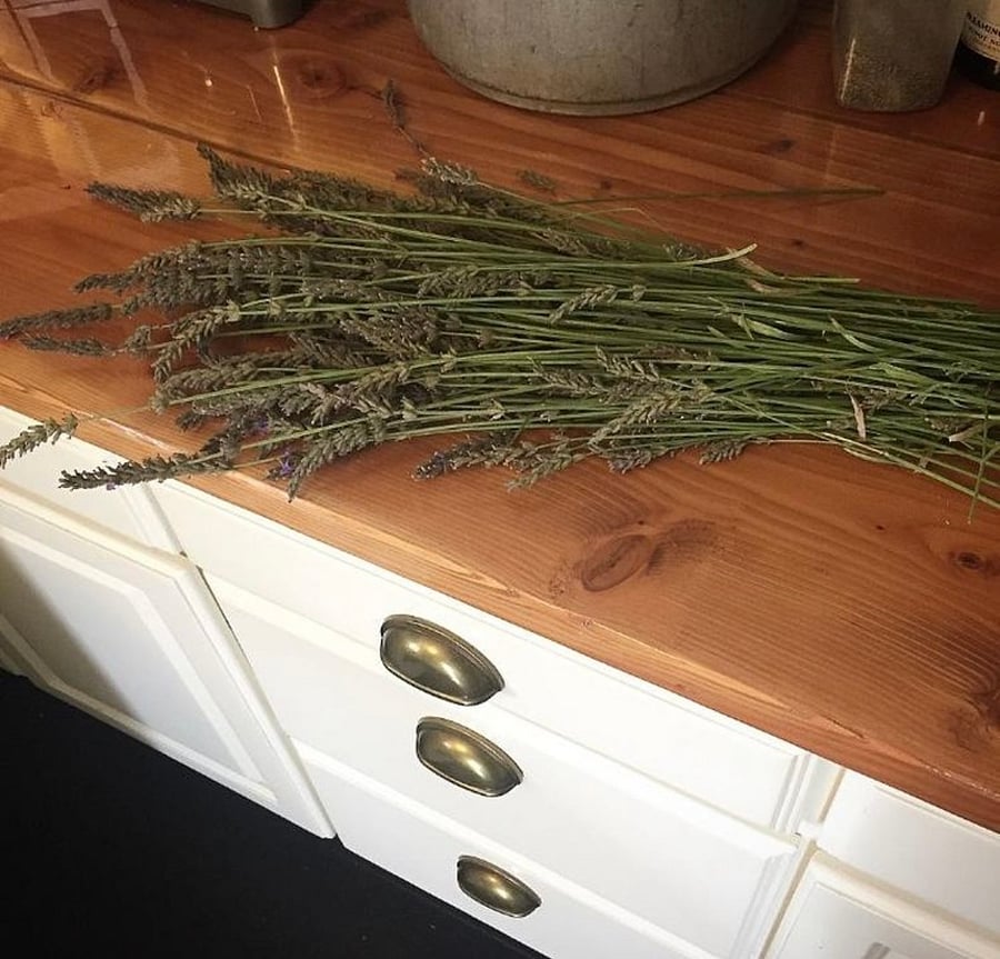 Lavender harvest in the kitchen.
