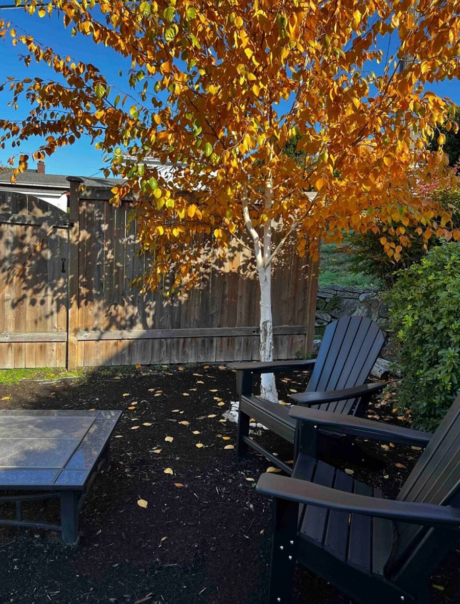 Backyard firepit and sitting area.