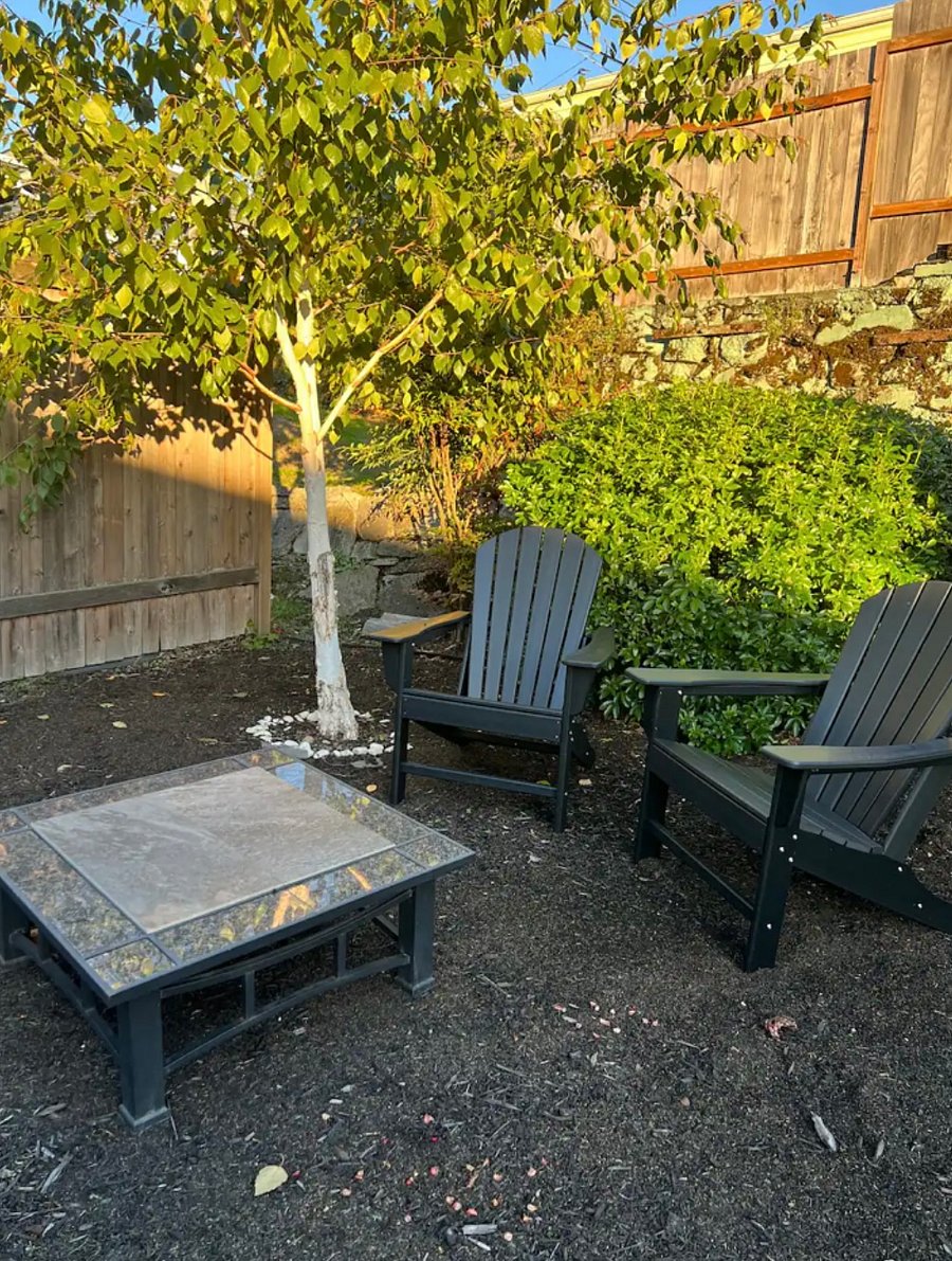 Backyard fire pit and sitting area.
