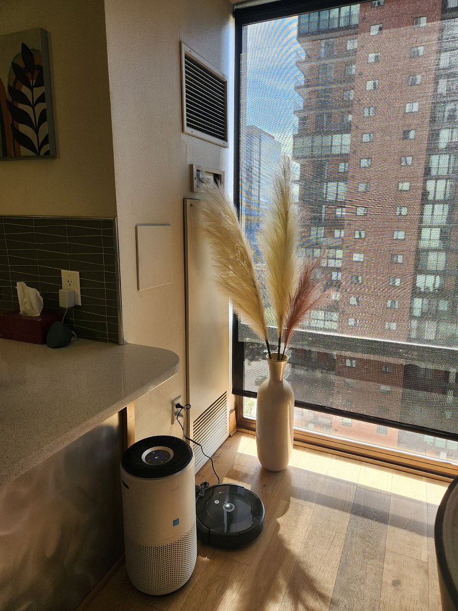 Roomba and Air Purifier