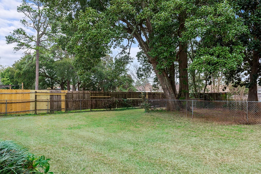 Back yard