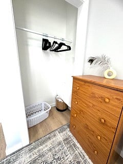 Bedroom 2 Closet