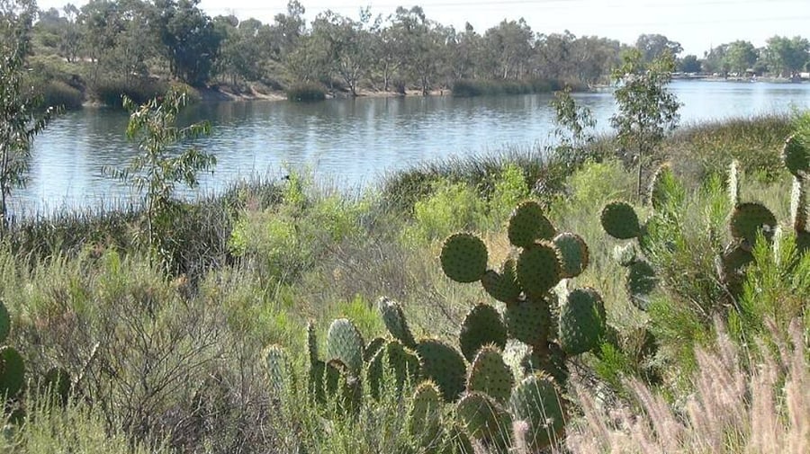 Nearby Lake Murray for hikes, bikes and barbeques.