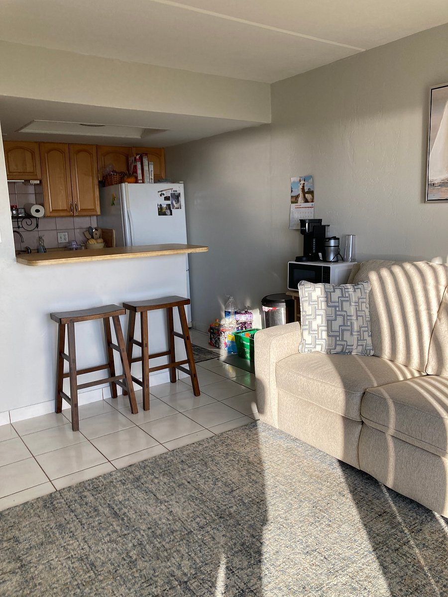 living room/kitchen
