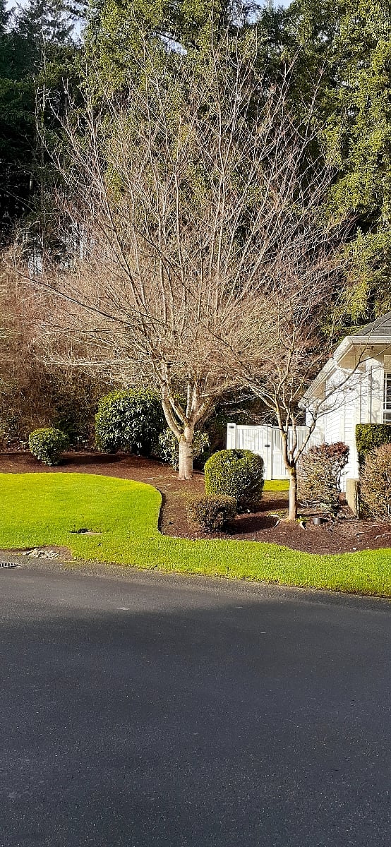 Furnished Finder property 655866_1 photo 6
