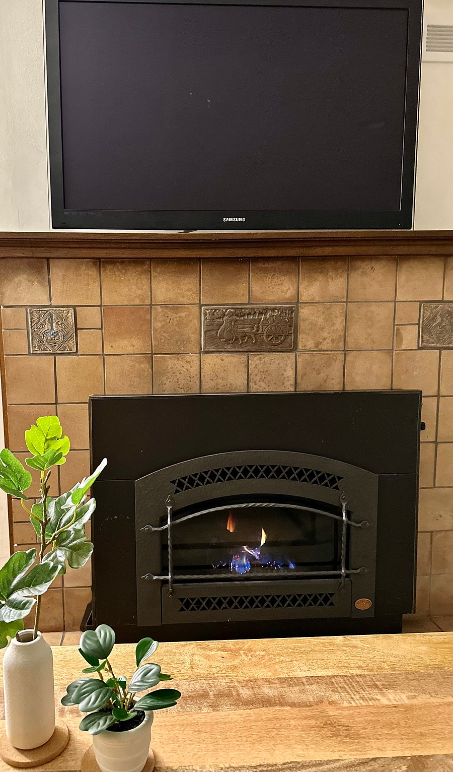 Gas fireplace