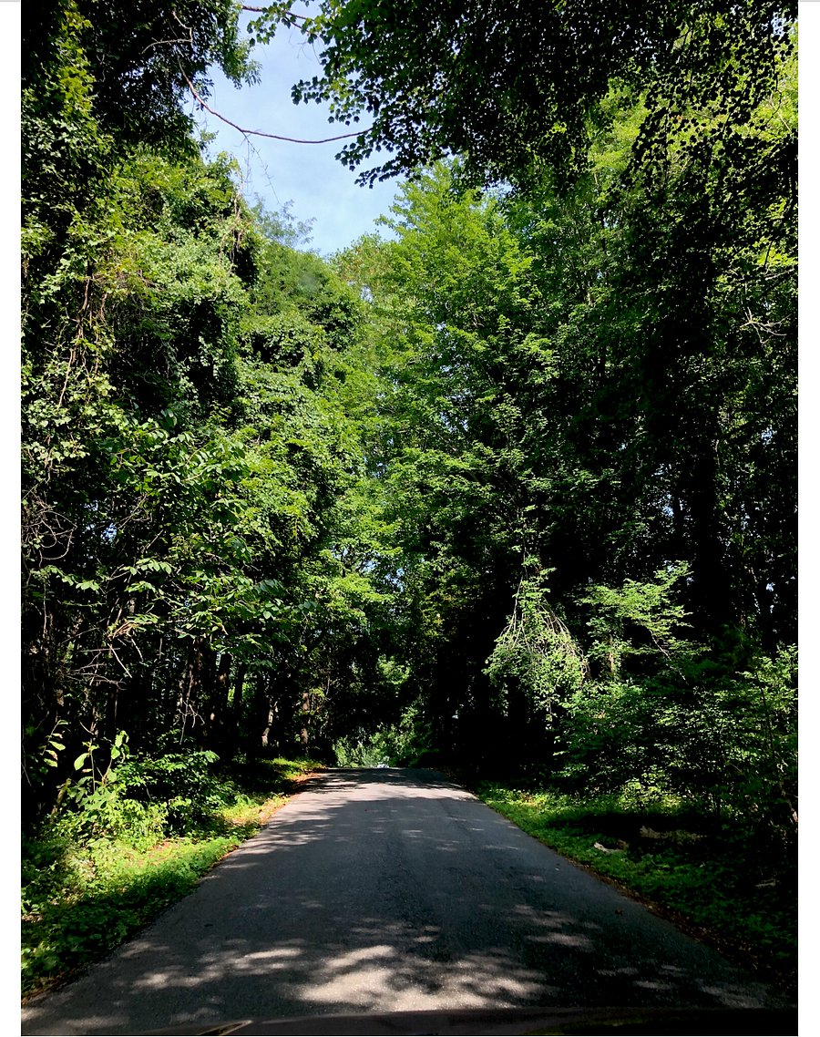 James Ave driving up to the house