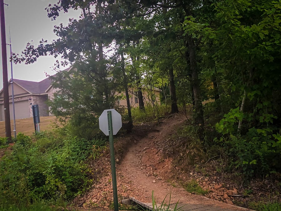 Back 40 bike trail in yard.