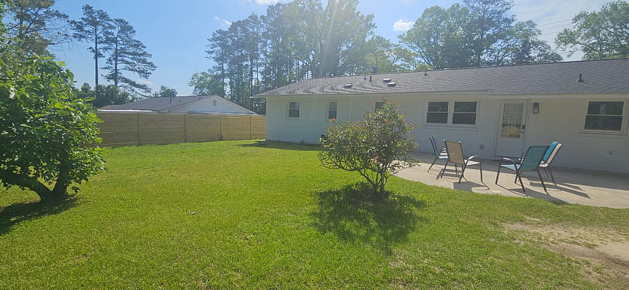 Back yard
