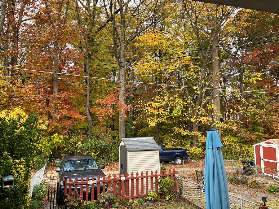 Furnished Finder property 656529_1 photo 13