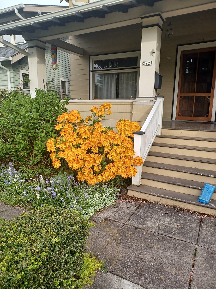 Furnished Finder property 656571_1 photo 2