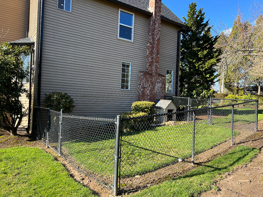 Side yard fully fenced dog run and house.