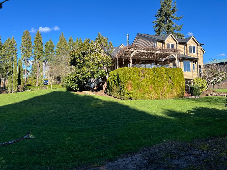 Back yard