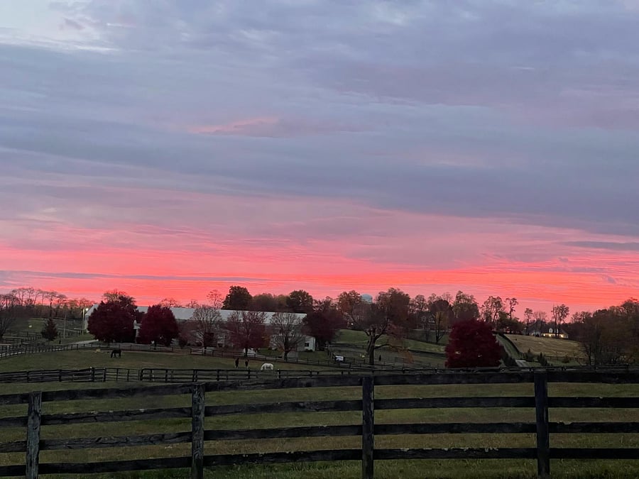 Visit owners' horse farm!