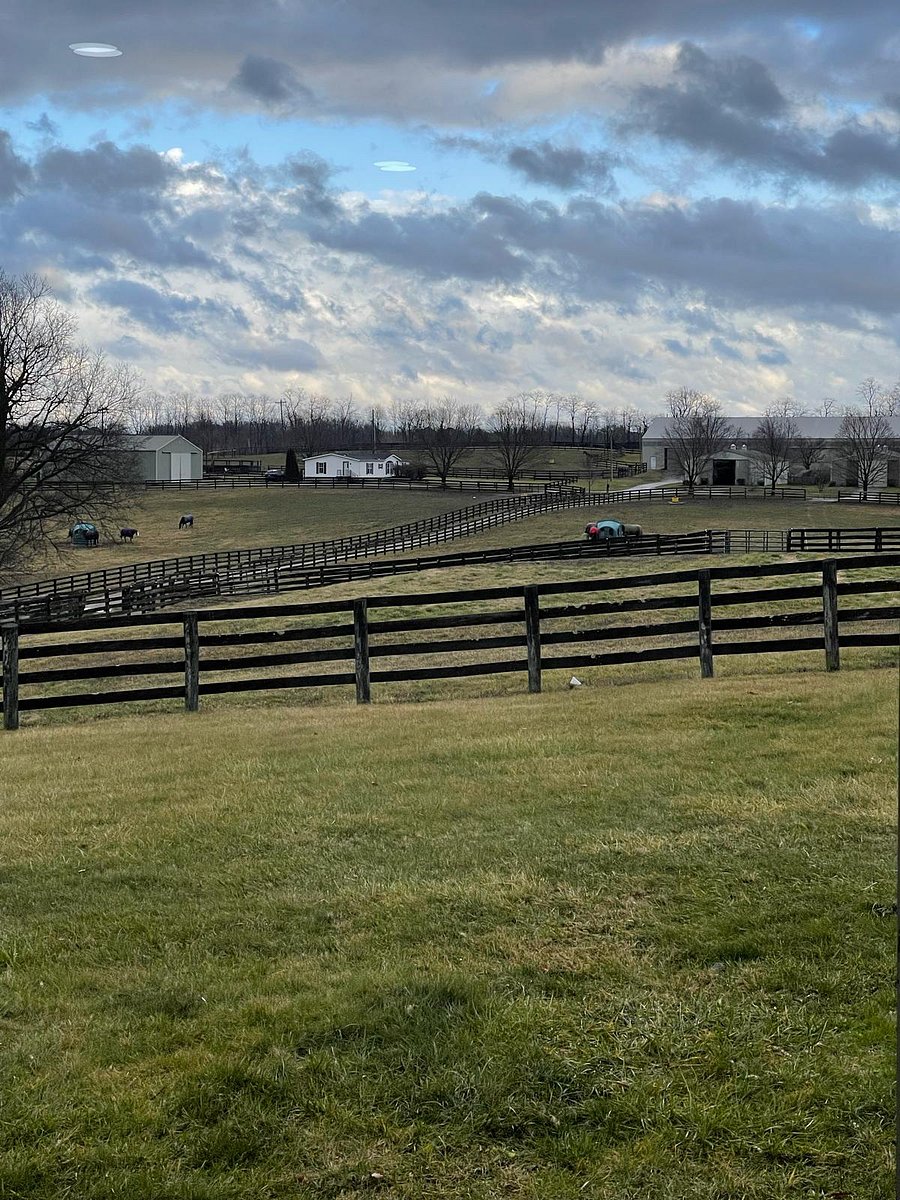 Visit owners' horse farm!