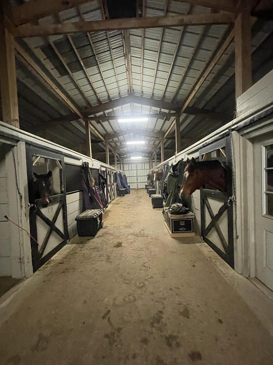 Visit owners' horse farm! Learn to groom or ride horses!