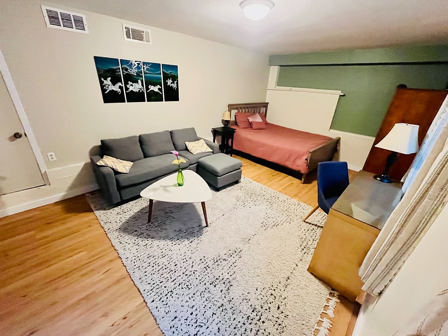 living space and bedroom area 