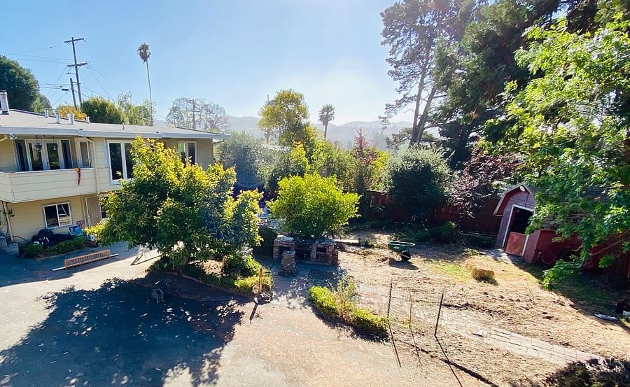 shared backyard