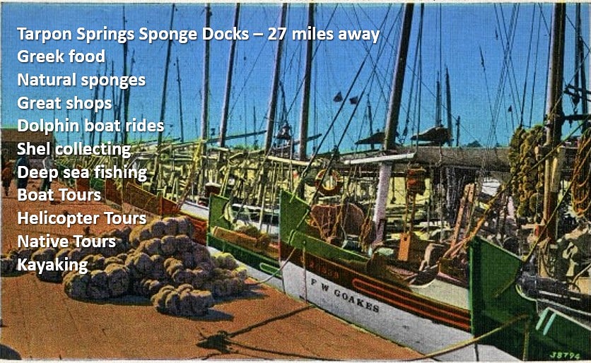 Tarpon Springs Sponge Docks