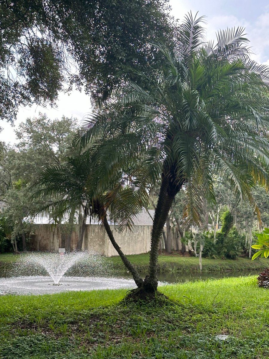 Fountain across the street