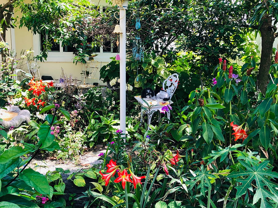 Furnished Finder property 657787_1 photo 4