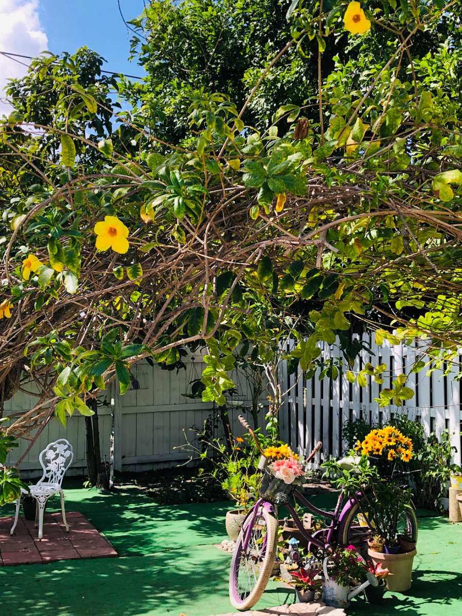 Furnished Finder property 657787_1 photo 21