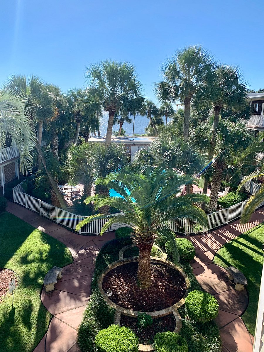 Furnished Finder property 657910_1 photo 17