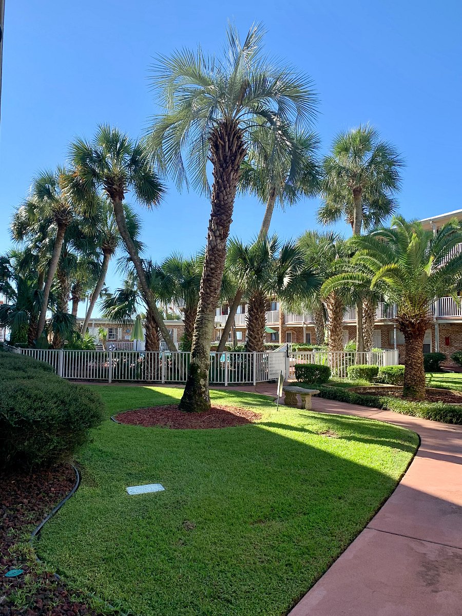 Furnished Finder property 657910_1 photo 18