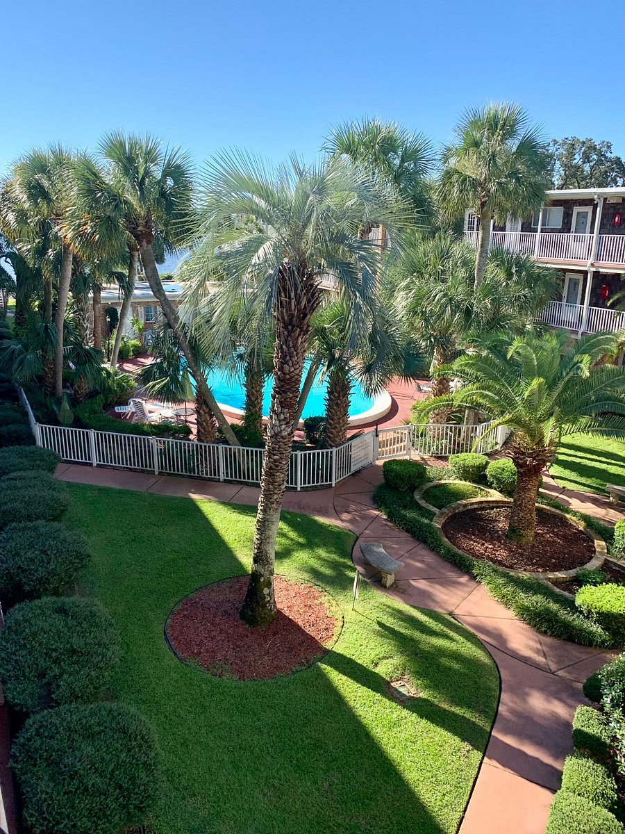Furnished Finder property 657910_1 photo 1