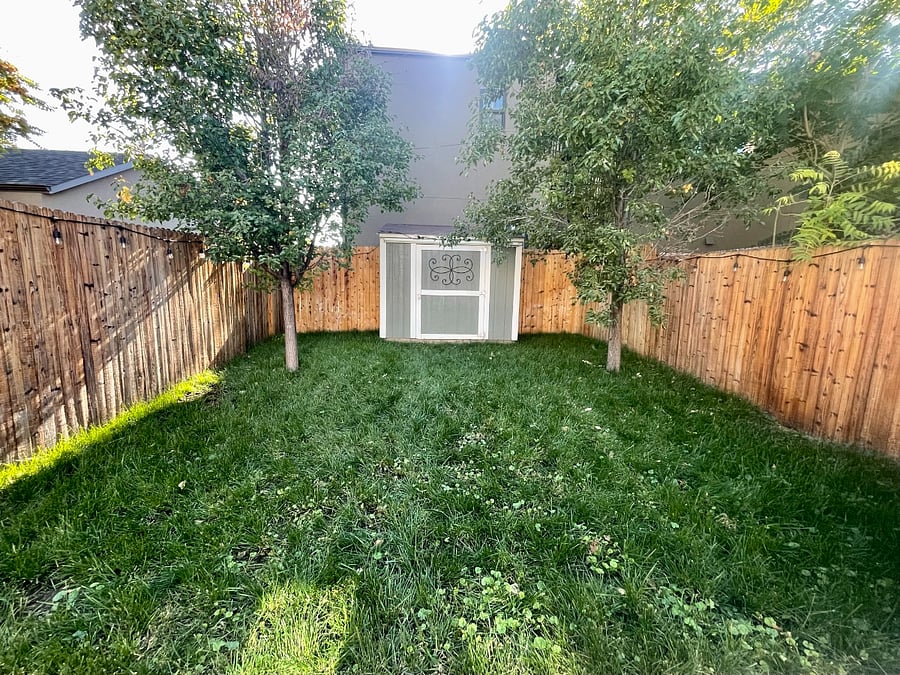 Plenty of backyard space!