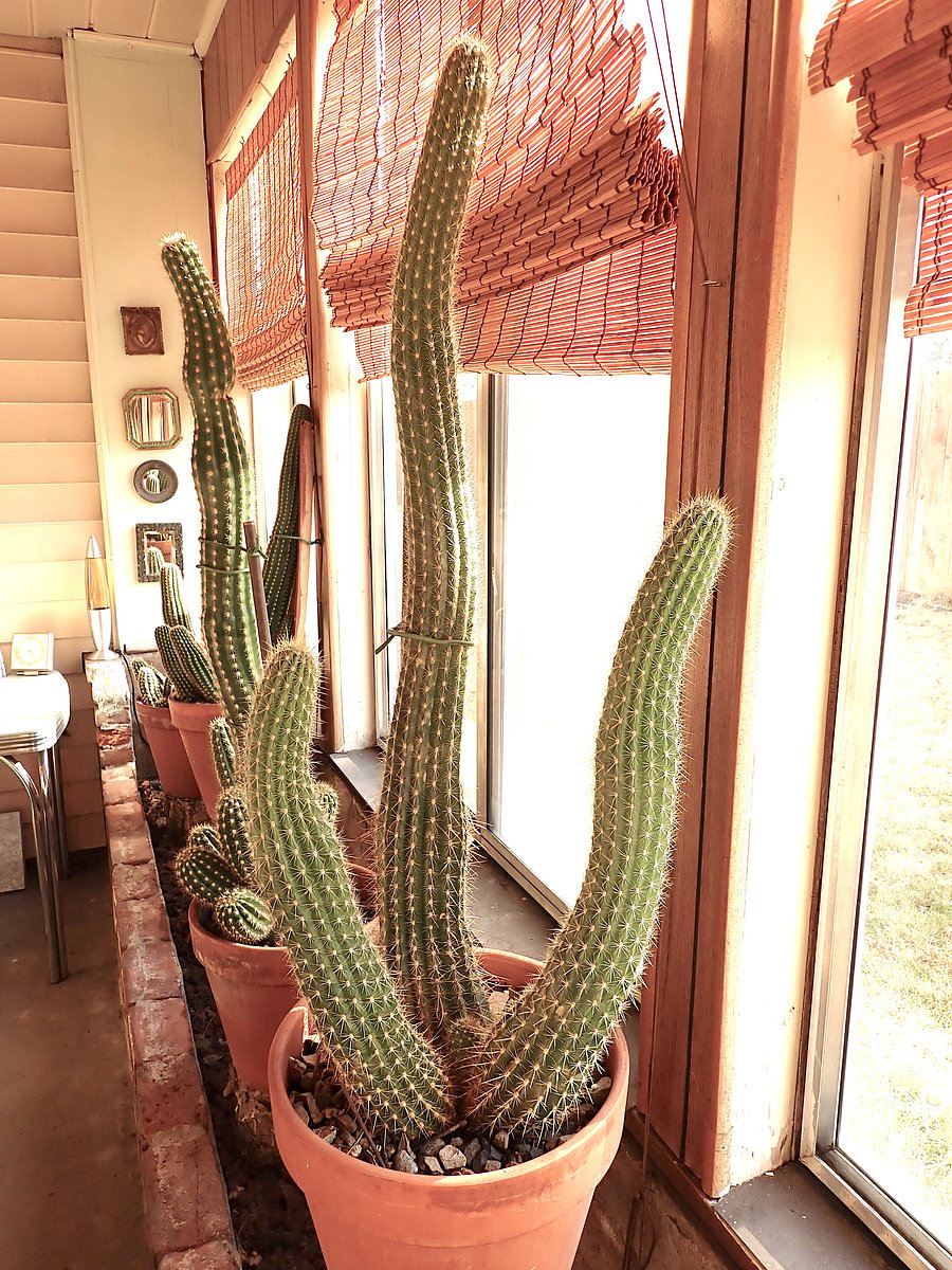 Furnished Finder property 658176_1 photo 22