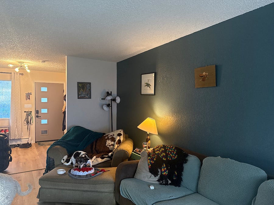 Shared living room with TV, fireplace, and new flooring
