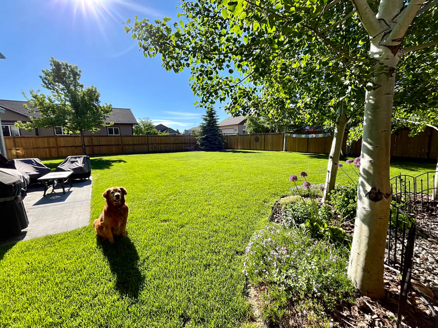 Furnished Finder property 658189_1 photo 6