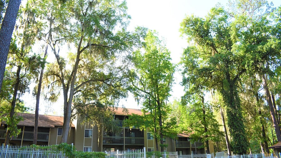 Furnished Finder property 658455_1 photo 9