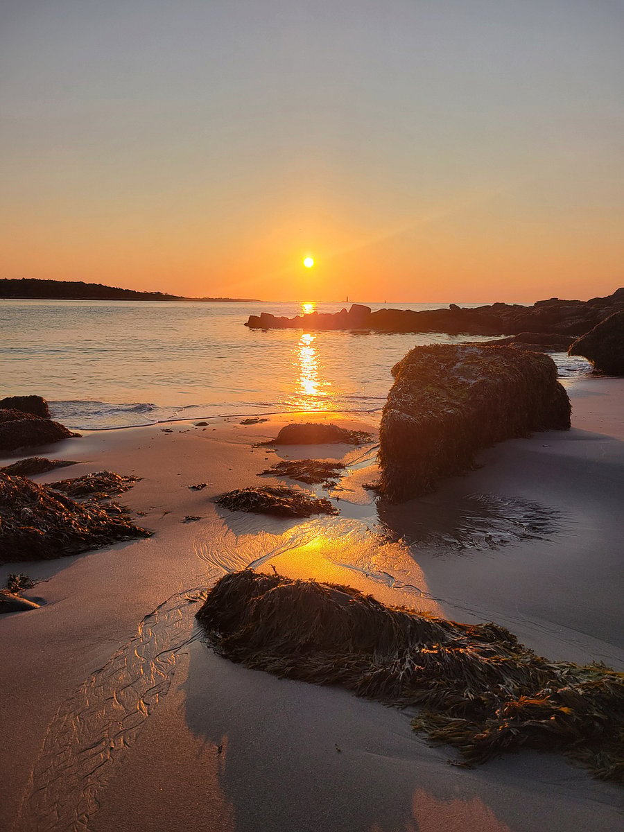 One of my favorite local beaches- walking distance