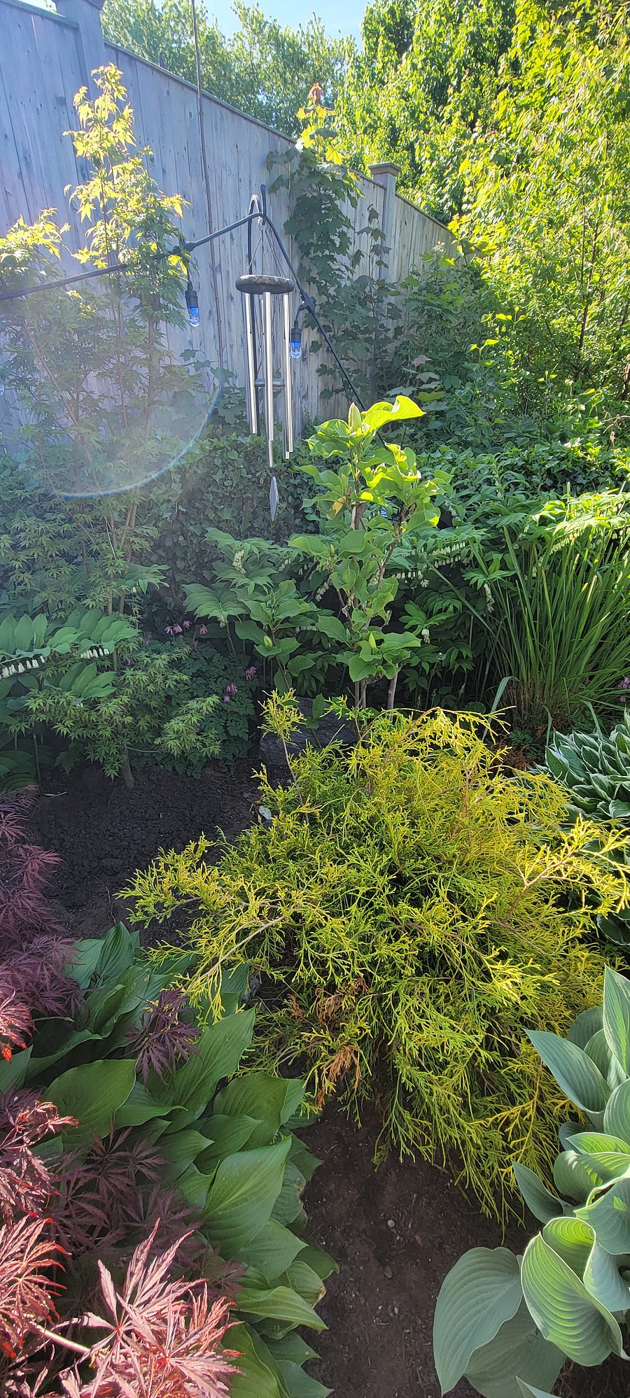Gardens at the Sopo Oasis