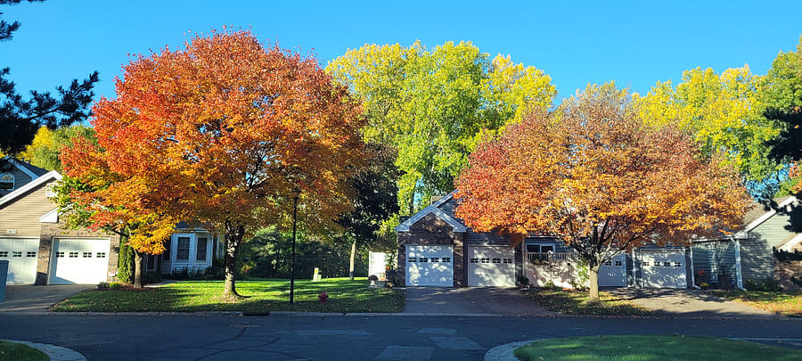 Beautiful neighborhood