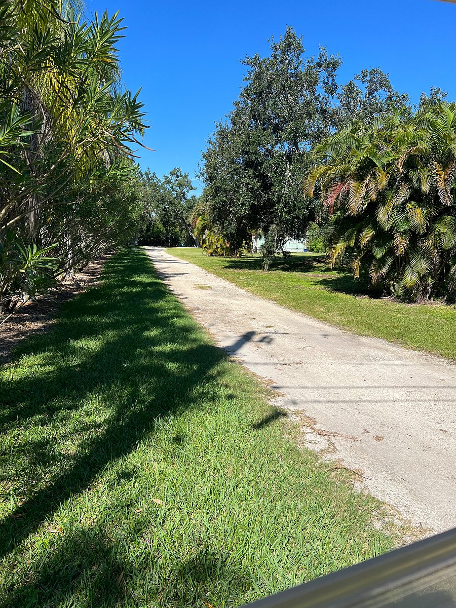 Furnished Finder property 658802_1 photo 24