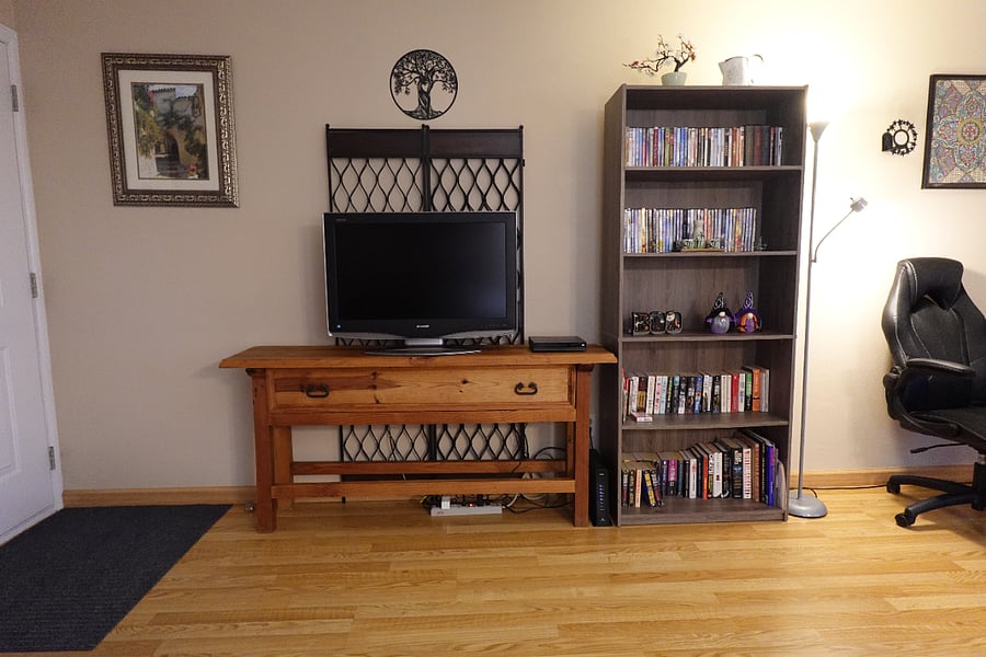 Living room flat-screen TV with Fire TV, optional DVD's/books 