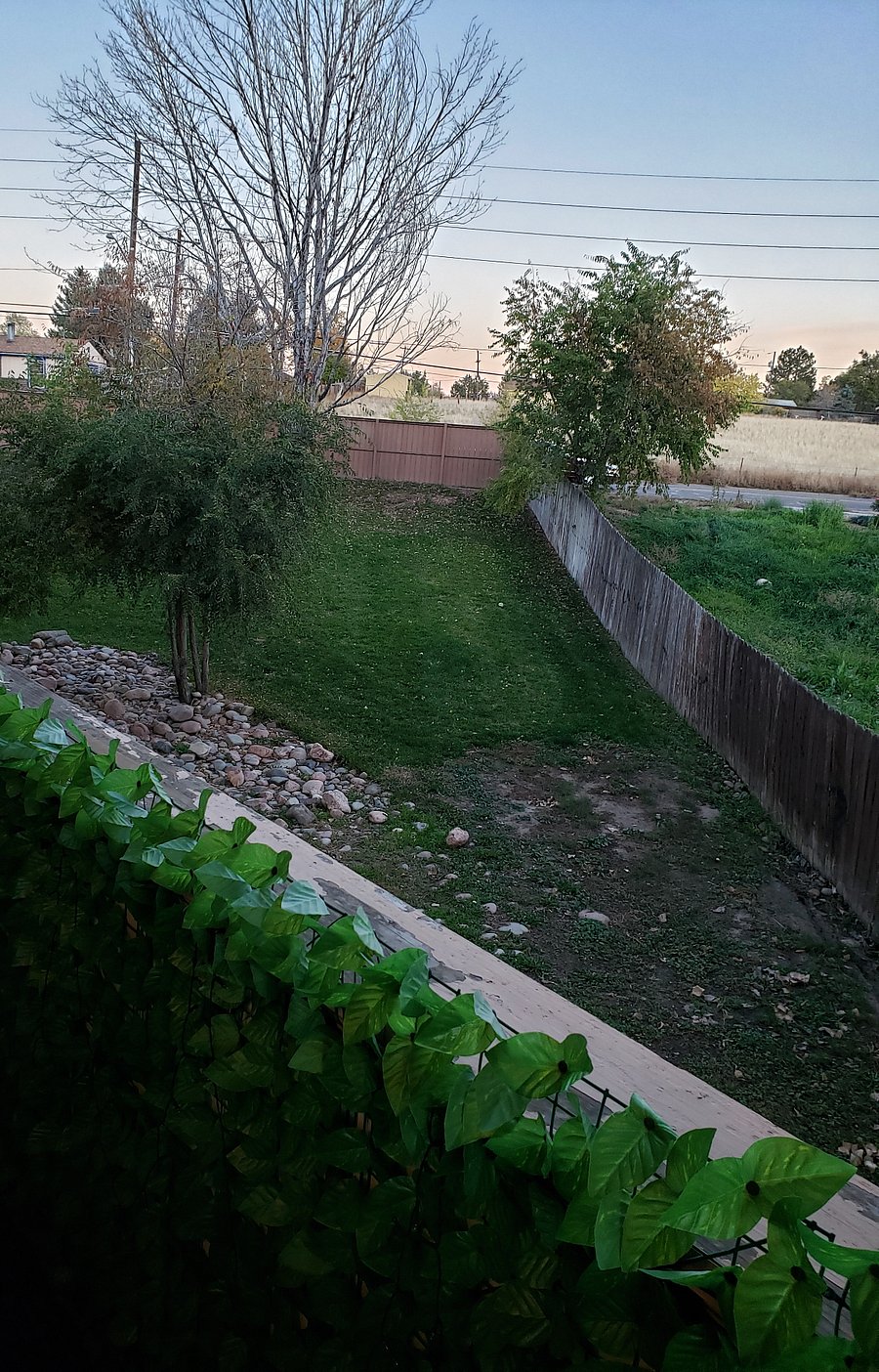 Lawn area adjacent to our building, partially fenced