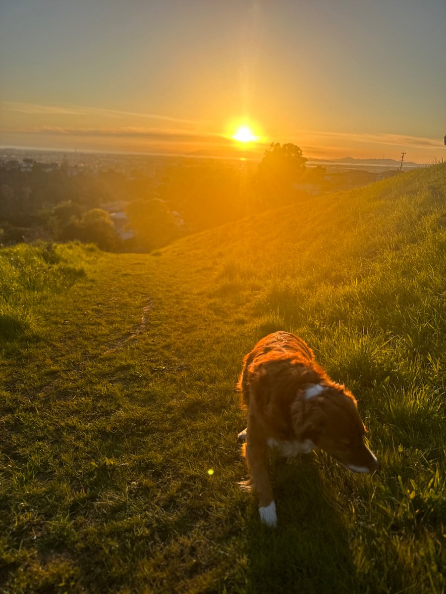 Walking trails and incredible views from the open space reserve just behind our home