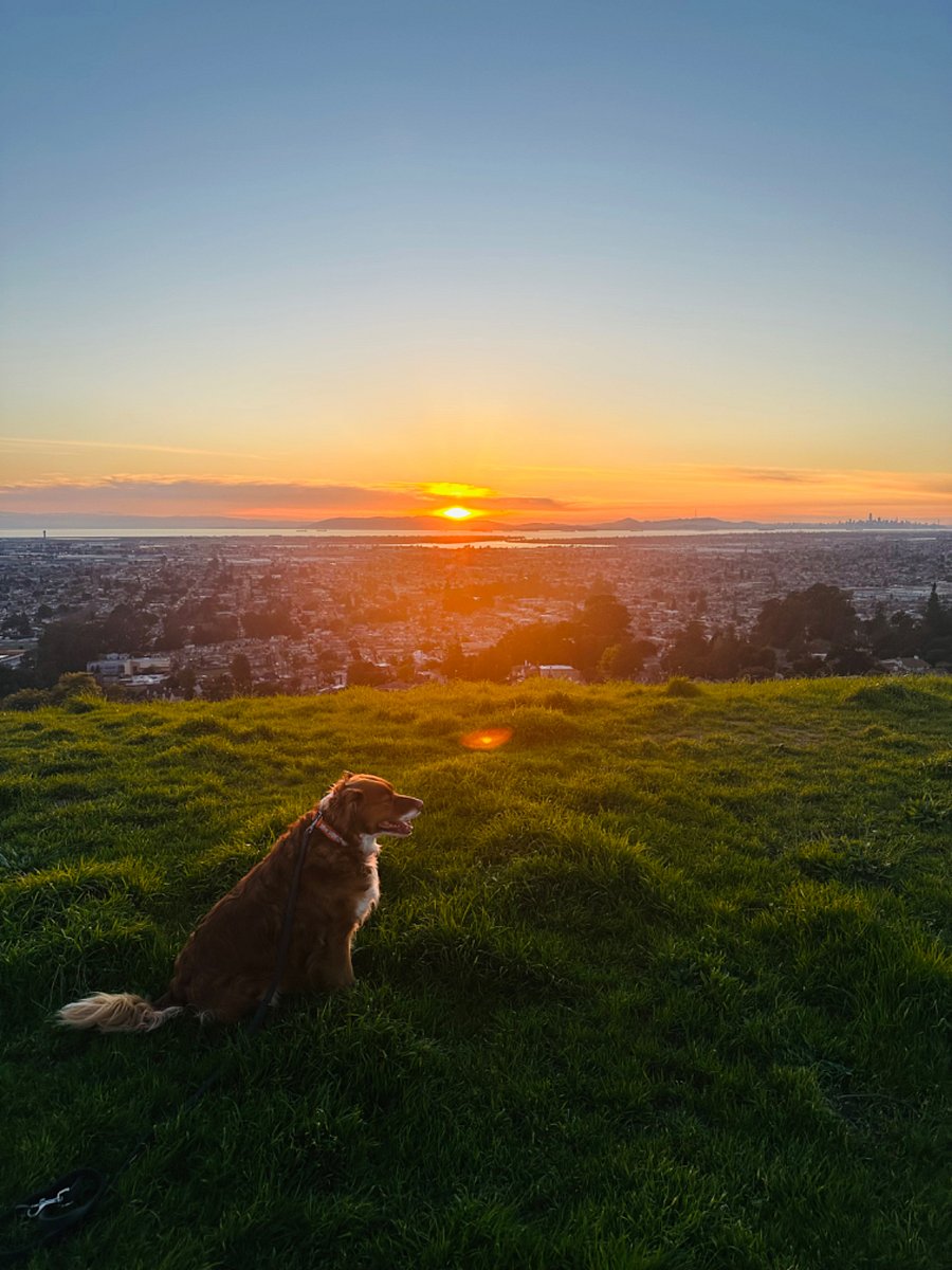 Sunset views from King Estates open preserve