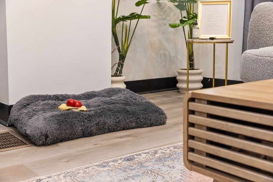 Pet Sleeping bed